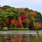 {:en}Ontario submits a call for nominations through the Express Entry system.{:}{:ar}اونتاريو تقدم دعوة للترشيح من خلال نظام اكبريس انتري{:}