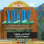 الحياة في يوكون