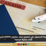 كيفية الحصول على تصريح عمل مفتوح (OWP) لشريكك أثناء عملية الرعاية